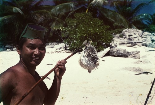 Richard Morita spears Puffer Fish