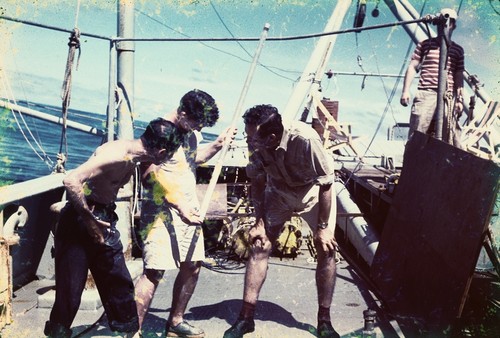 Roger Revelle, Robert Dill and Sid [I.e. Sydney] Rittenberg examine gravity core sample taken from seafloor