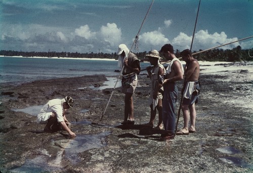 Scientists examine tide pools on Bikini