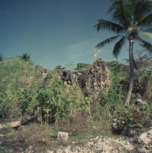 Island rock formation covered in foliage