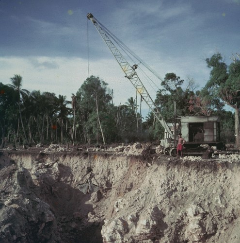 Crane on Pacific Island