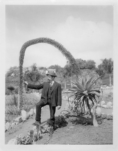 William Hertrich with agave attenuata, circa 1911