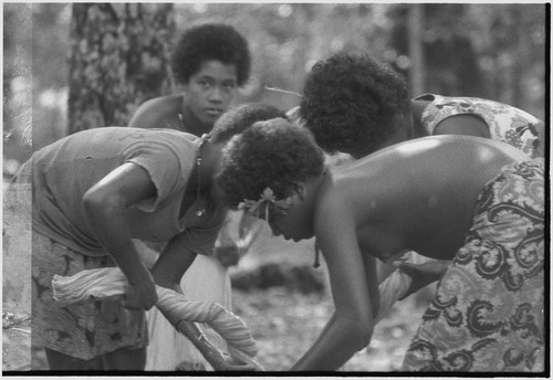 Food preparation: women twist cloth to squeeze milk from grated coconut