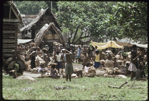 Mortuary ceremony: women gathered for exchange of banana leaf bundles and fiber skirts, near chief's house and yam houses