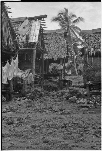 Tukwaukwa village on Kiriwina: houses