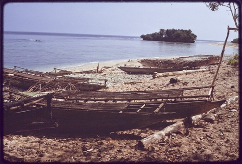 Canoes: several fishing canoes pulled up on the beach at Kaibola