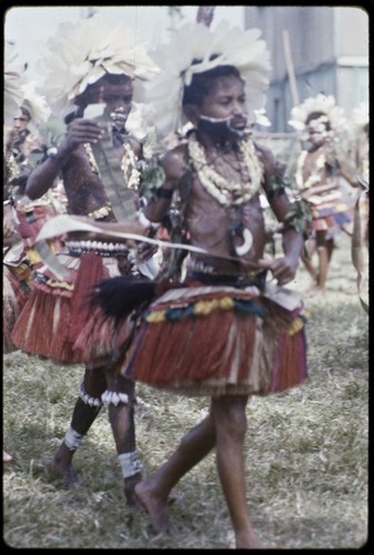 Dance: children wear short grass skirts, shell valuables, and feather headdresses, carry flattened pandanus leaves