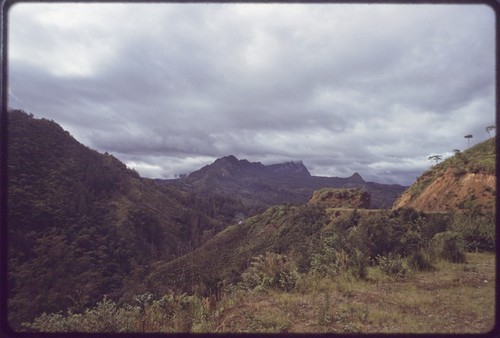 Highlands Highway between Lae and Mount Hagen: road cut into a hillside