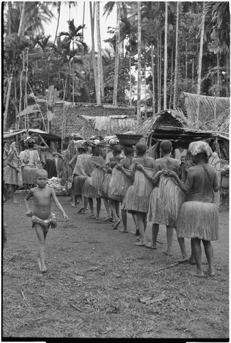 Mortuary ceremony, Omarakana: women carry fiber skirts and banana leaf bundles, approach the bereaved spouse