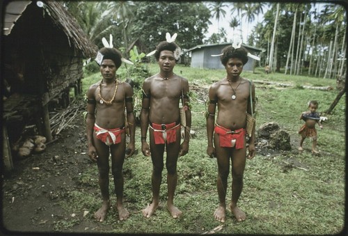 Courtship: young men beautified for courting, they wear feathers, hair ornaments, shell necklaces, red loin cloths, fragrant leaves and flowers