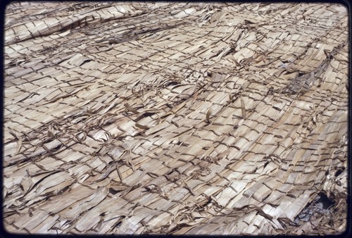 Canoes: detail of a pandanus sail