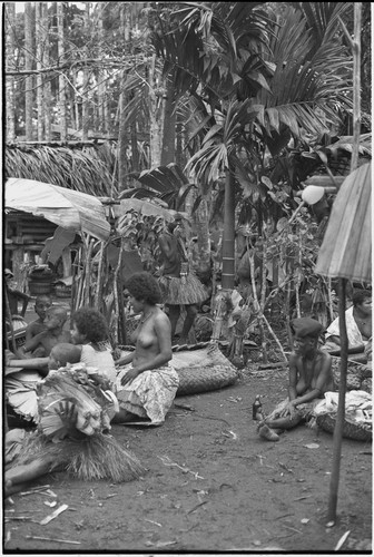 Mortuary ceremony, Omarakana: women interact at ritual exchange of banana leaf bundles and other valuables