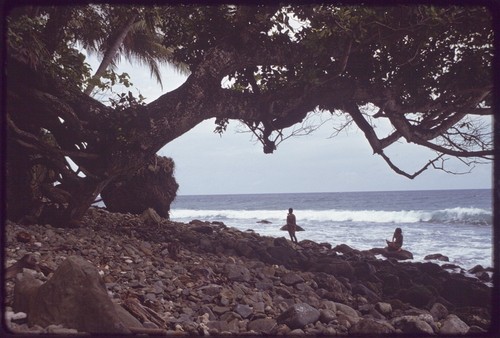 Kairiru: large tree overhangs rocky coastline, children near water's edge