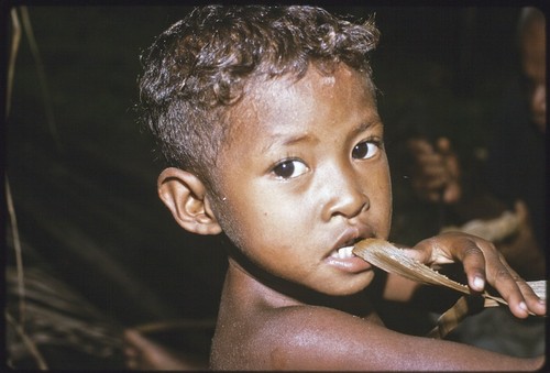 Boy chewing on a leaf