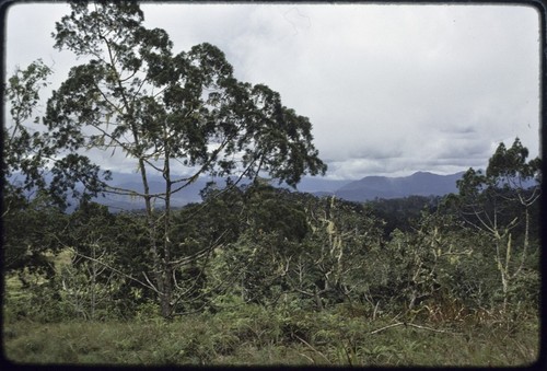 Mountains of Central Province, near Port Moresby