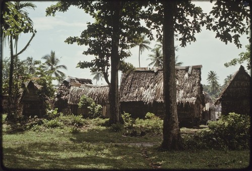 Tukwaukwa village on Kiriwina: houses