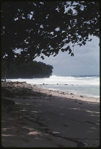 Coral and driftwood on Kaibola beach, waves