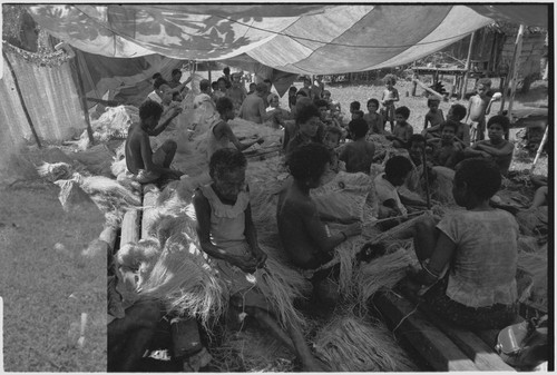 Mortuary ceremony: women gathered to weave long fiber skirts for ritual exchange