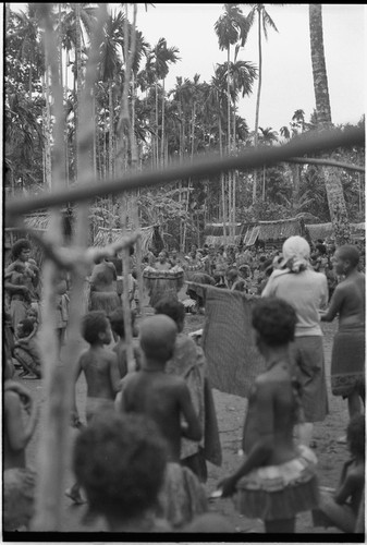 Mortuary ceremony, Omarakana: procession of mourning women holding fiber skirt valuables, anthropologist Annette Weiner (back to camera) observes