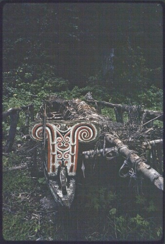 Canoes: carved and painted prowboard and splashboard of a kula canoe, overgrown