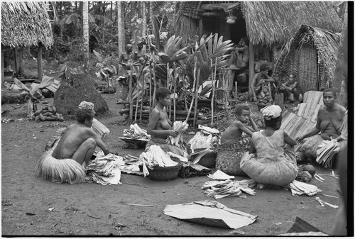 Mortuary ceremony, Omarakana: women with banana leaf bundles and piles of yams for ritual exchange