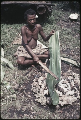 Woman heats and flattens pandanus leaf over a fire, softening it for use in weaving