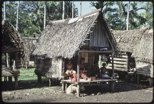 People on the veranda of Momwaroka's house, pig underneath