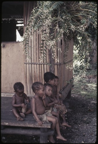 Young children on veranda of Hutchins' house