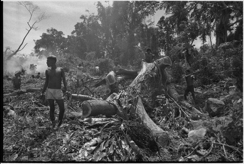 Land clearing: men remove trees and bushes from rocky land, preparing for construction