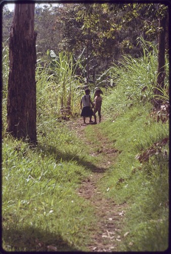 Western Highlands: children walk on garden trail