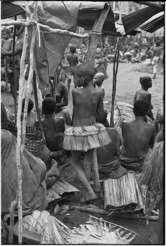 Mortuary ceremony, Omarakana: mourning girl wears short fiber skirt, banana leaf bundles and other exchange items in foreground