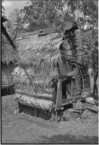 Small house, perhaps belonging to a widow