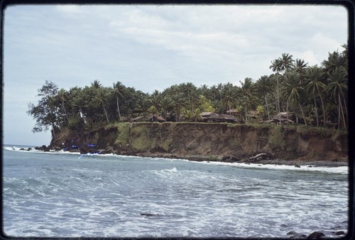 Kairiru: village and coconut palms on cliff by ocean