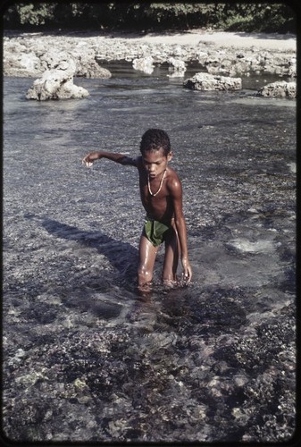 Fishing: boy wearing leaf covering splashes in shallow water near Wawela village, driving fish to net