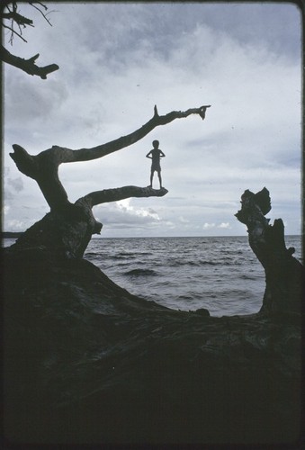 Fishing: boy fishes with a hand line while standing on tree branch above waves on the east coast of Kiriwina