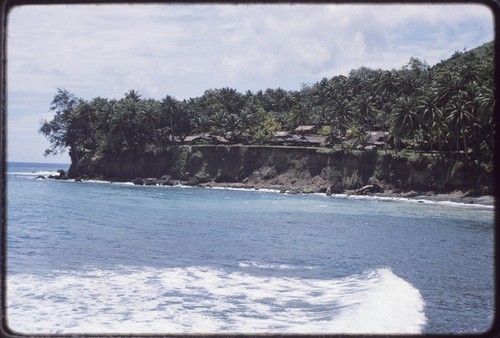 Kairiru: village and coconut palms on cliff by ocean