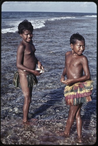 Girls walk in shallow water near edge of coral reef, girl (l) holds a small puffer fish near Wawela village