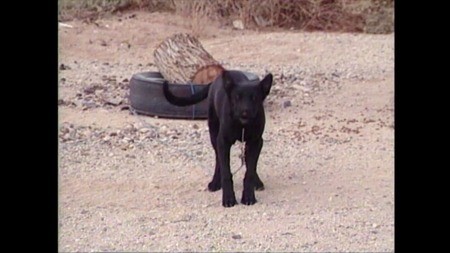 Slab City: Reel 075