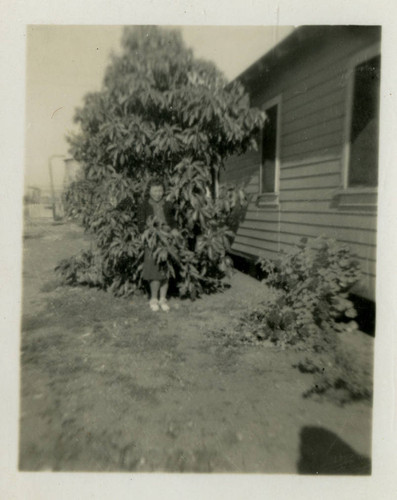 [Japanese American woman]