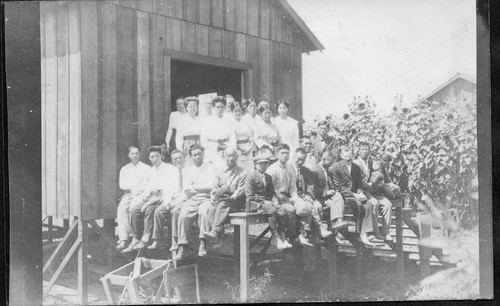 [Group on platform in apple orchard]