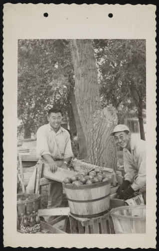 Japanese American farmers