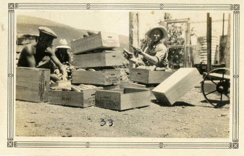 Packing Cucumbers