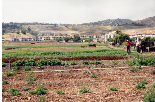 Farm Landscape