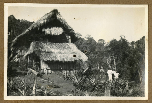 Japanese Peruvian house