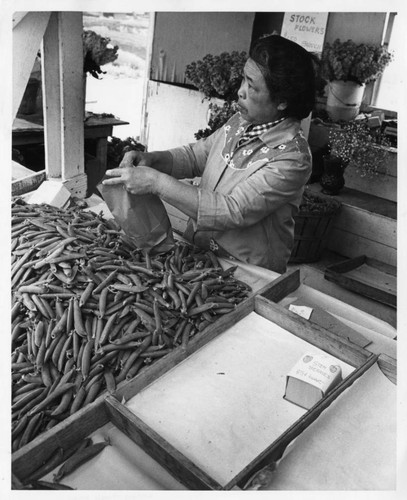 Miye Ishibashi Selling Peas