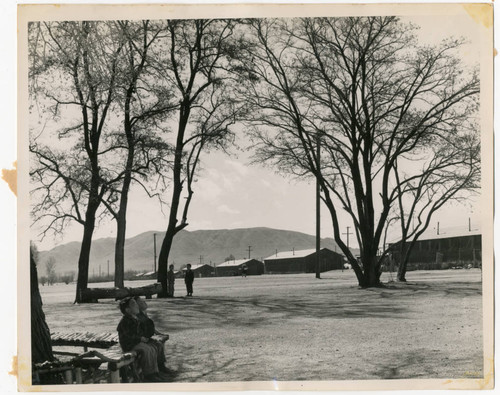 Children at Manzanar incarceration camp