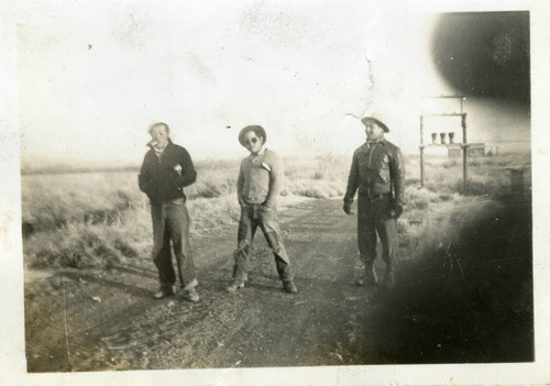 Nisei farm workers