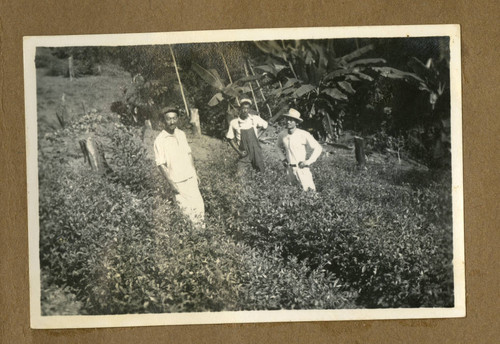 Japanese Peruvian worker