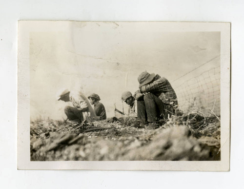 Nisei farm laborers