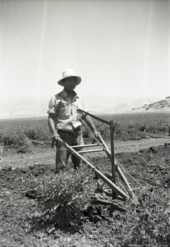 Man in filed with plow